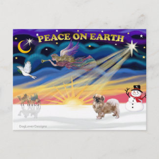 Cartão Postal De Festividades Nascer do Sol no Natal - Tibetan Spaniel 1