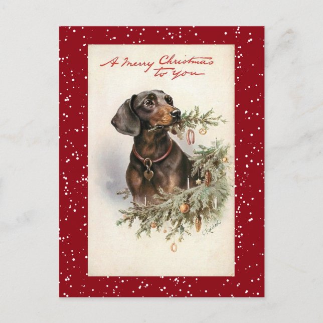 Cartão Postal De Festividades Natais vintages Dachshund Dog (Frente)