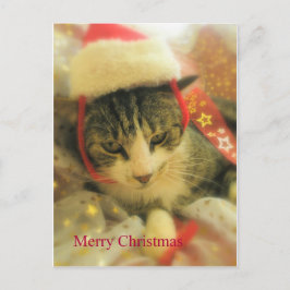 Cartão Postal De Festividades Natal