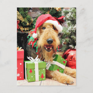 Cartão Postal De Festividades Natal - Airedale - Kiehn