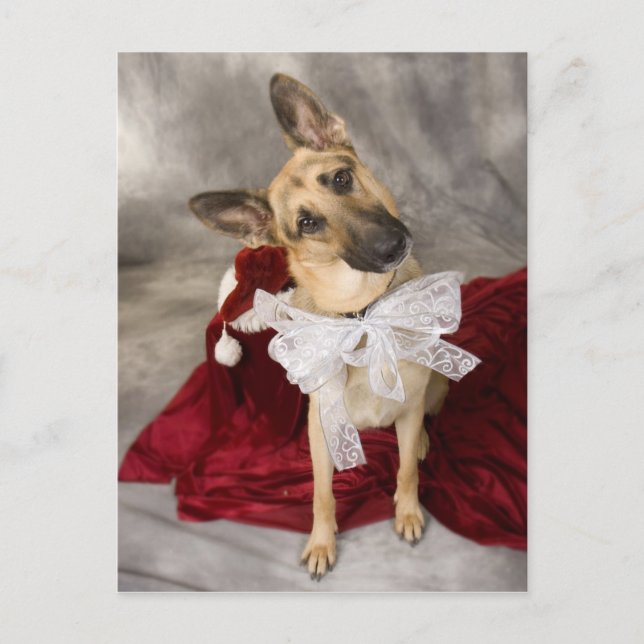 Cartão Postal De Festividades Natal Alsaciano (Frente)