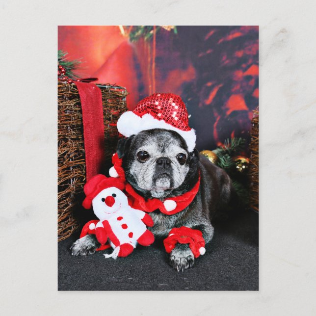 Cartão Postal De Festividades Natal - Angel - Pug (Frente)