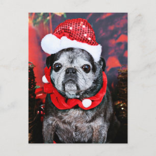 Cartão Postal De Festividades Natal - anjo - Pug