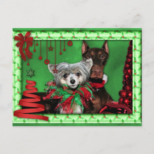 Cartão Postal De Festividades Natal - Árvore Vermelha de Fita - Doberman Crestie (Frente)