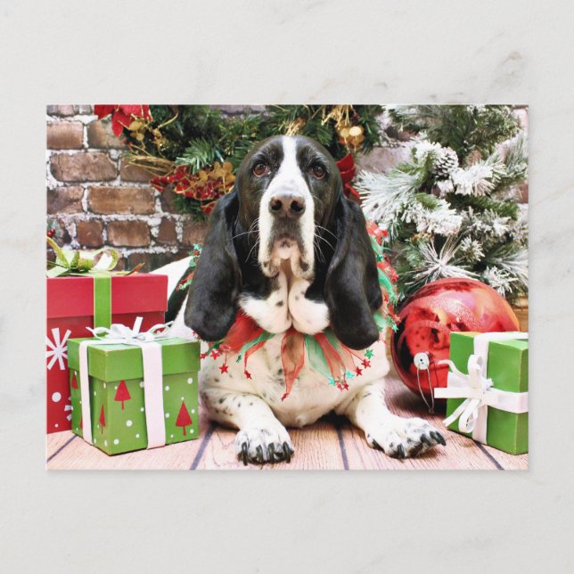 Cartão Postal De Festividades Natal - Basset Hound - Jasmine (Frente)