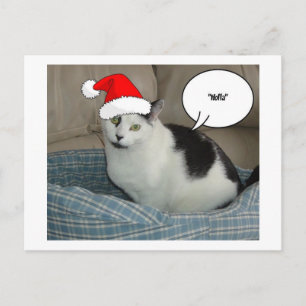 Cartão Postal De Festividades Natal Black and White Kitten