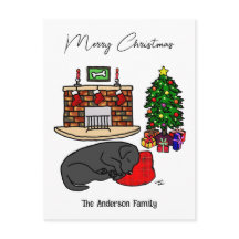 Natal Black Labrador Dormindo