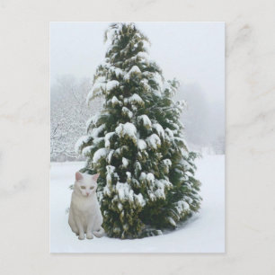 Cartão Postal De Festividades Natal branco