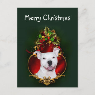 Cartão Postal De Festividades Natal branco do pitbull