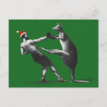 Cartão Postal De Festividades natal canguru de boxe<br><div class="desc">Presentes de Natal do Estilo Vintage</div>