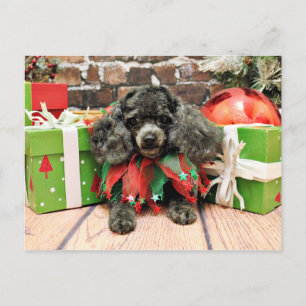 Cartão Postal De Festividades Natal - caniche de brinquedo - Annie