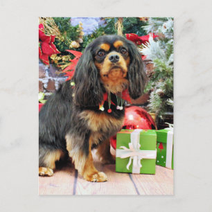 Cartão Postal De Festividades Natal - Cavaleiro - Charlie