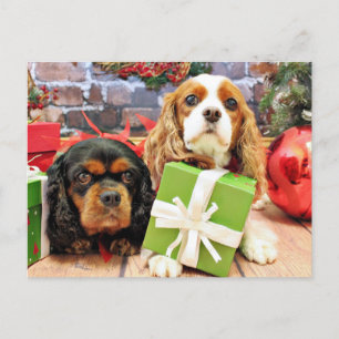 Cartão Postal De Festividades Natal - Cavaleiro - Ervilha doce e pimenta
