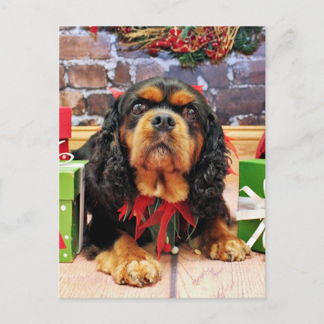 Cartão Postal De Festividades Natal - Cavalier King Charles Spaniel SweetPea (Frente)