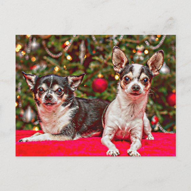 Cartão Postal De Festividades Natal Chihuahua (Frente)