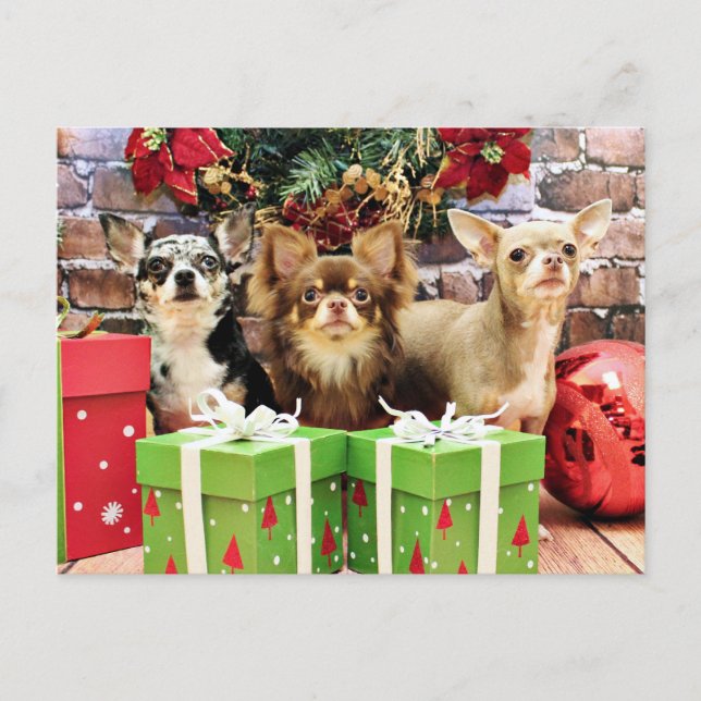 Cartão Postal De Festividades Natal - Chihuahua - Azul - Precioso - Yogi (Frente)