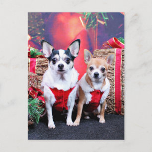 Cartão Postal De Festividades Natal - Chihuahua - Moo Moo e Ginger