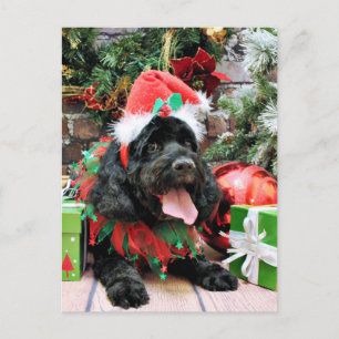 Cartão Postal De Festividades Natal - Cockapoo - Jack
