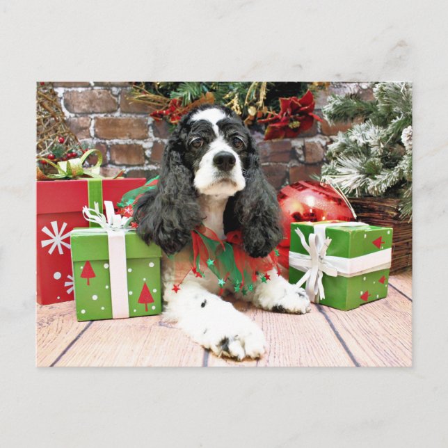 Cartão Postal De Festividades Natal - Cocker Spaniel - Laci (Frente)