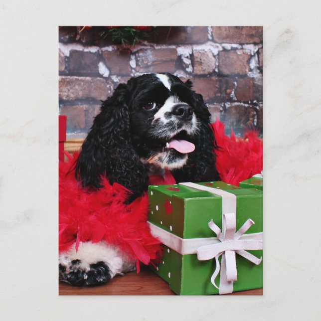 Cartão Postal De Festividades Natal - Cocker Spaniel - Maggie (Frente)