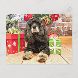 Cartão Postal De Festividades Natal - cocker spaniel - Marley