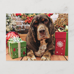 Cartão Postal De Festividades Natal - Cocker Spaniel - Remmy