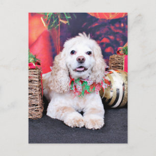 Cartão Postal De Festividades Natal - Cocker Spaniel - Sammy