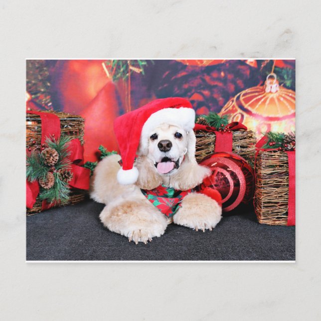 Cartão Postal De Festividades Natal - Cocker Spaniel - Tobey (Frente)
