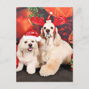 Cartão Postal De Festividades Natal - Cocker - Toby, Havanese - Little T