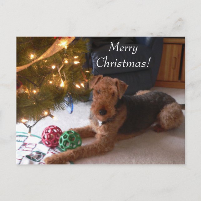 Cartão Postal De Festividades Natal com cartão de Madeleine (Frente)