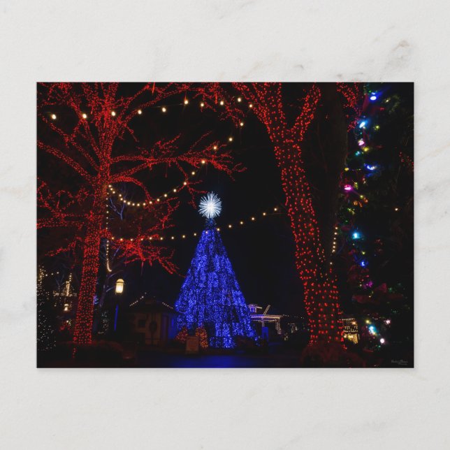 Cartão Postal De Festividades Natal da Cidade do Dólar (Frente)