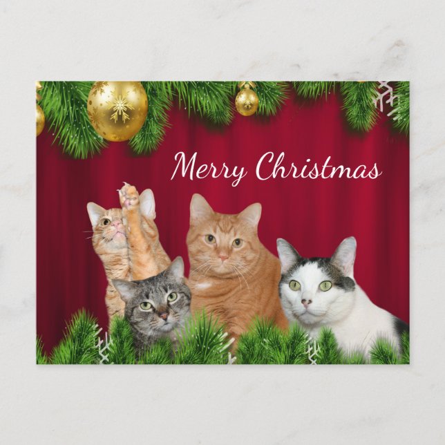 Cartão Postal De Festividades Natal da família Cat (Frente)