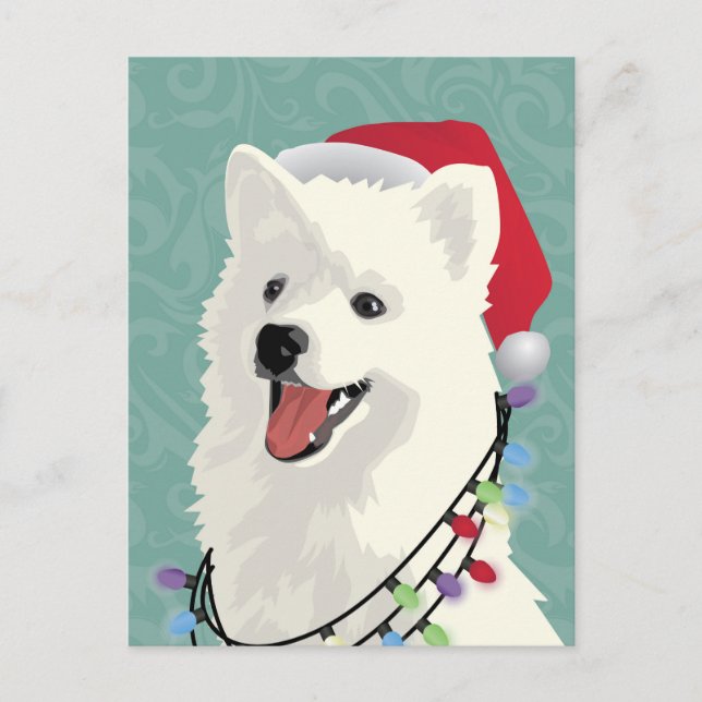 Cartão Postal De Festividades Natal de Cachorro Cachorro Cachorro Samoyed Eskimo (Frente)