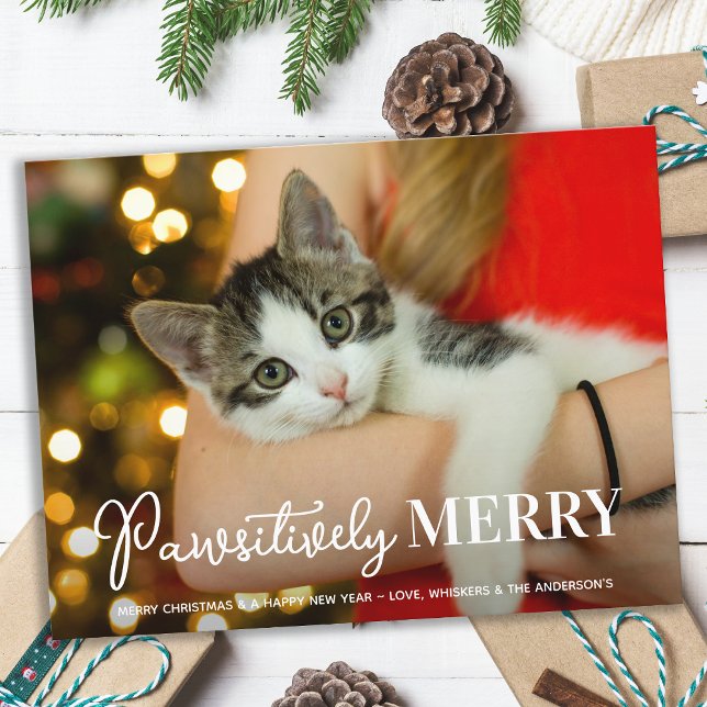 Cartão Postal De Festividades Natal de Pet Cat Personalizado de Feliz Pawsitivam (Criador carregado)
