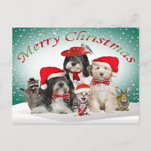 Cartão Postal De Festividades Natal de Terrier tibetano com amigos (Frente)