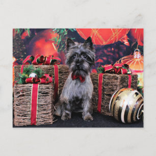 Cartão Postal De Festividades Natal - Dexter - monte de pedras