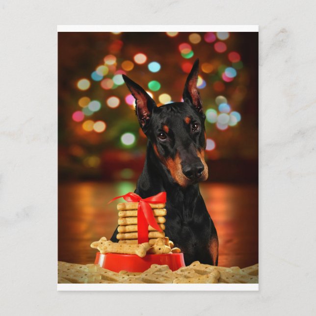 Cartão Postal De Festividades Natal do Doberman (Frente)