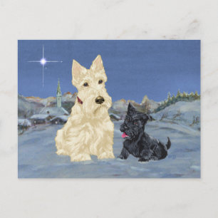 Cartão Postal De Festividades Natal do Scottie Wheaten e Cachorrinho