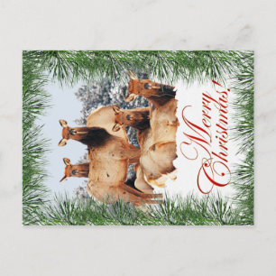 Cartão Postal De Festividades Natal dos alces