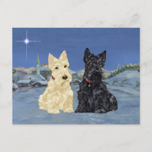 Cartão Postal De Festividades Natal dos Scotties Wheaten Pretos