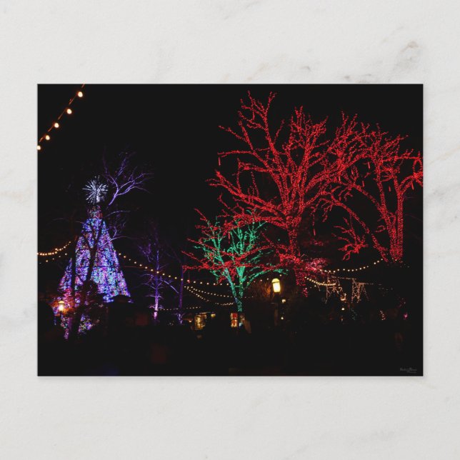 Cartão Postal De Festividades Natal em Silver Dollar City (Frente)