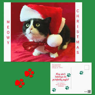 Cartão Postal De Festividades Natal Felino de Smoking