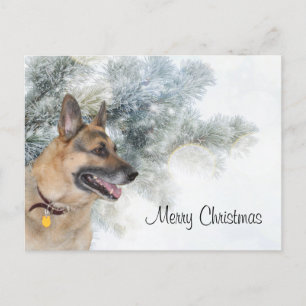 Cartão Postal De Festividades Natal German shepherd