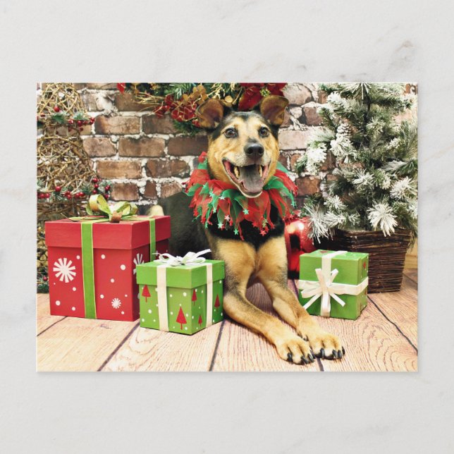 Cartão Postal De Festividades Natal - German shepherd X - Bailey (Frente)
