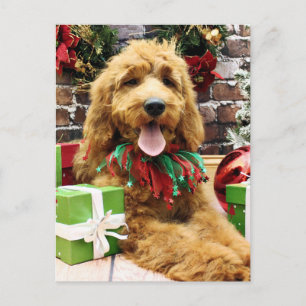 Cartão Postal De Festividades Natal - GoldenDoodle - Claire