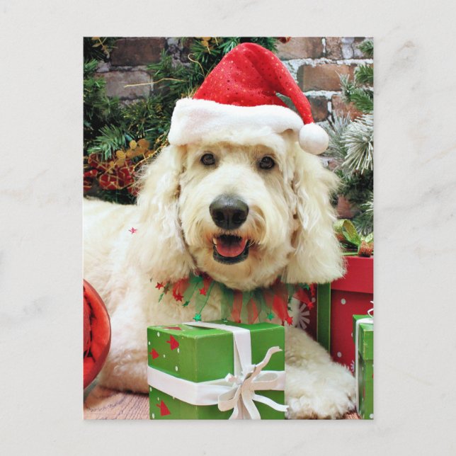 Cartão Postal De Festividades Natal - GoldenDoodle - Peyton (Frente)