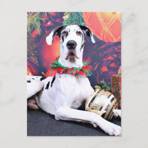 Cartão Postal De Festividades Natal - Harlequin Great Dane - Barão