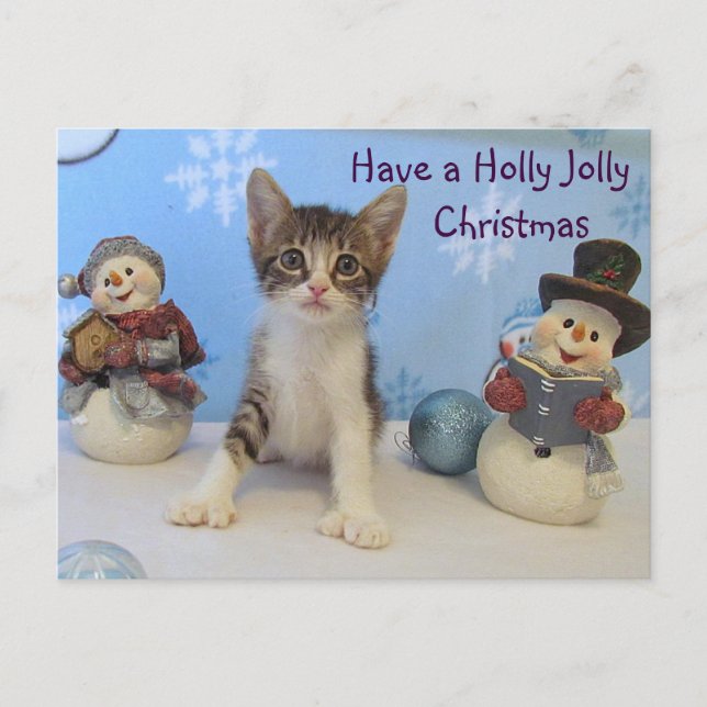 Cartão Postal De Festividades Natal Holly Jolly da Taromina — Gato/Gatinho (Frente)