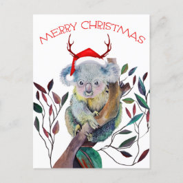 Cartão Postal De Festividades Natal Koala vestindo Santa Hat