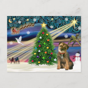 Cartão Postal De Festividades Natal Magic Border Terrier